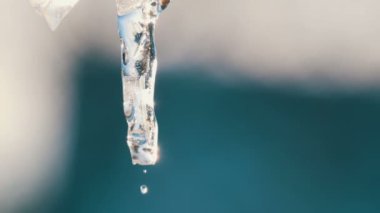 Icicle bahar güneş ışınlarının erir. Eriyen buz saçağı koşmak su damlaları yakın çekim