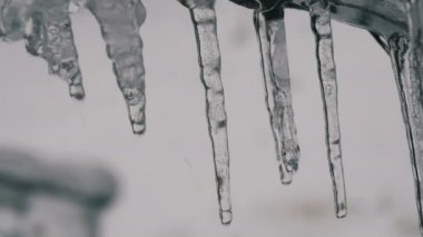 Erime damlama buz sarkıtları, erken bahar makro çatıdan görünümü kapatın. Therethrough düşen su damla dondurulmuş kırmızı meyveler arka planı görülmektedir şeffaf güzel saçağı eriyor