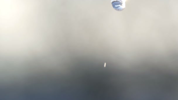 从融化的冰柱顶部滴下的一滴纯净水. — 图库视频影像