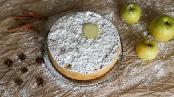 Female hand puts apple slices on delicious traditional freshly baked homemade gingerbread apple pie Charlotte richly powdered sugar top view — Stock Video