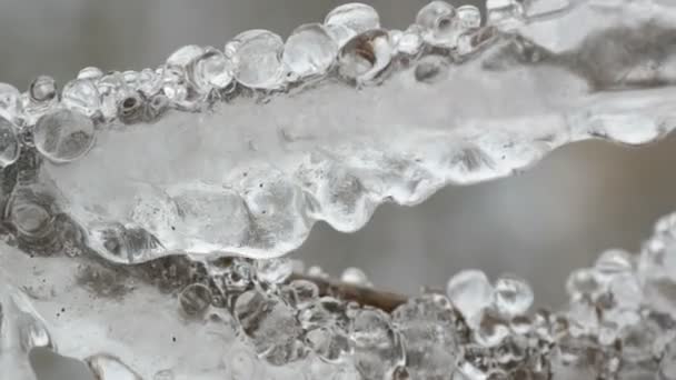 Прекрасно заморожений лід і танення бурульок на гілці дерева — стокове відео