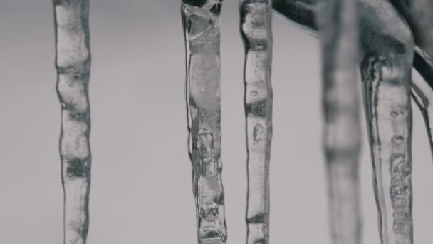 Derretendo pingando icicles do telhado no início da primavera macro close up view. Transparente belo gelo derrete-lo caindo gotas de água são vistos — Vídeo de Stock