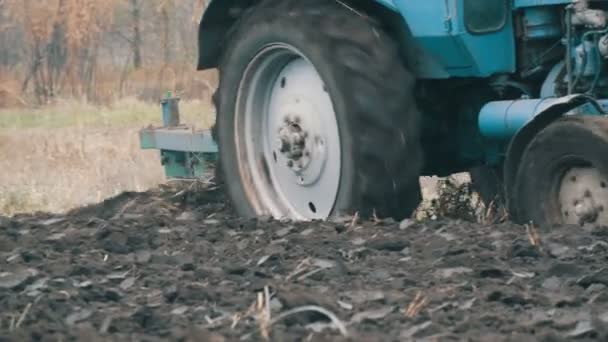 Trator azul com campo de arado de arado de quatro sulcos com solo preto vista de perto — Vídeo de Stock