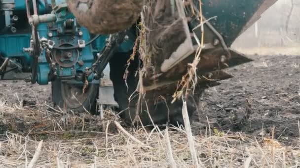 Blue Tractor with four furrow plough plowing field with black soil close up view — Stock Video
