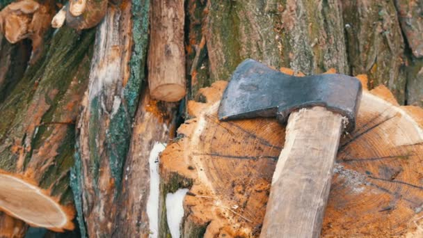 Die Axt liegt auf einem Baumstumpf auf einem Hintergrund aus abgesägten Stämmen. Brennholz für den Winter. — Stockvideo