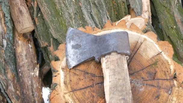 Die Axt liegt auf einem Baumstumpf auf einem Hintergrund aus abgesägten Stämmen. Brennholz für den Winter. — Stockvideo