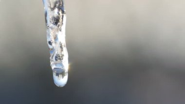 Icicle bahar güneş ışınlarının erir. Eriyen buz saçağı koşmak su damlaları yakın çekim