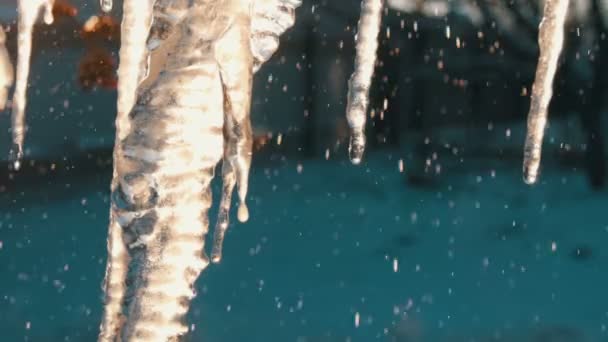 大量融化的冰柱在春天的阳光下闪闪发光 — 图库视频影像