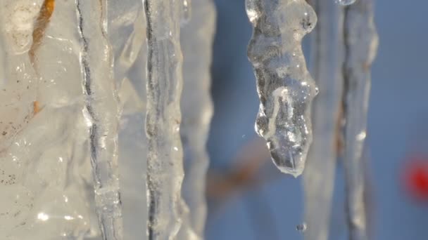Groot aantal smeltende ijspegels mousserende en glinsterende in de lente zon — Stockvideo