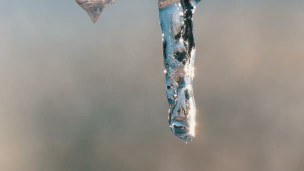 El carámbano se derrite en los rayos del sol de primavera. Gotas de agua corren por el hielo de fusión de cerca — Vídeos de Stock