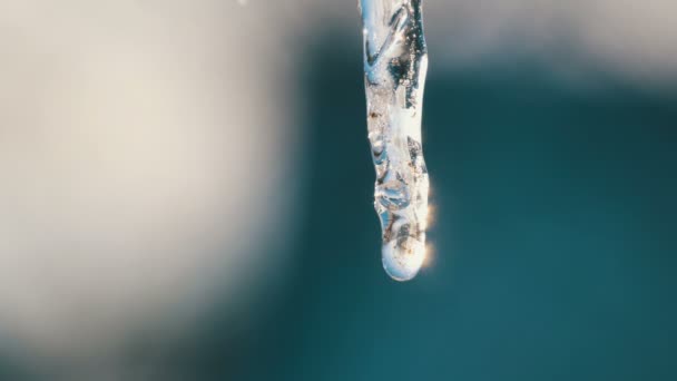 Un fino carámbano derretido brilla al sol contra el cielo azul. Gotas de flujo de agua en el carámbano — Vídeo de stock