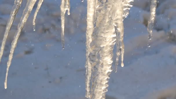 Pırıl pırıl ve bahar Güneşte parıldayan eriyen buz sarkıtları çok sayıda — Stok video