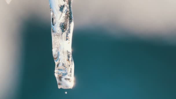 Hermoso hielo de fusión iridiscente transparente se descongela en el sol con gotas de agua corriente . — Vídeos de Stock