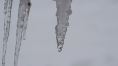 Erime damlama buz sarkıtları, erken bahar makro çatıdan görünümü kapatın. Therethrough düşen su damlaları görülür şeffaf güzel saçağı eriyor