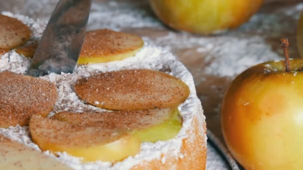 Couteau coupe une tarte vue de près de délicieuse charlotte tarte aux pommes fraîchement cuite en poudre avec de la cannelle. Tarte aux pommes maison traditionnelle — Video