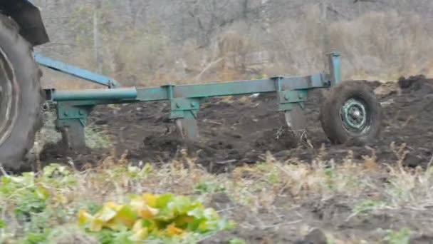 En blå traktor plogar svart jord djup hösten. Vinter markberedning — Stockvideo