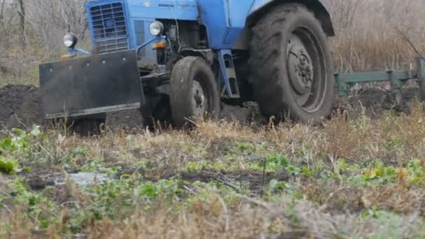 Niebieski ciągnik pługi czarnej ziemi w głęboką jesienią. Przygotowanie podłoża do zimy — Wideo stockowe