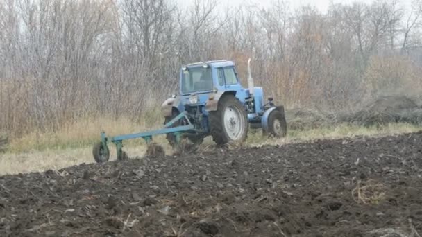 Een blauwe trekker plows zwarte bodem in de diepe herfst. Winter grond voorbereiding — Stockvideo