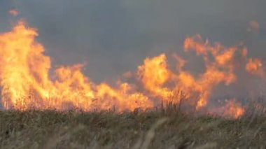 Bozkır alev orman yangında büyük doğal fırtınası. Kuru ot yanan