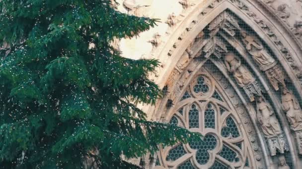 Prachtige hoog fir kerstboom in lichten tegen de achtergrond van een oude Europese kerk. Verfijnde beeldjes op de gevel van de Frauenkirche in Neurenberg (Beieren) — Stockvideo