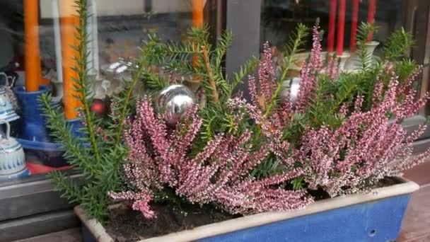 Schön dekoriertes Fenster mit Lavendel auf dem Weihnachtsmarkt in Nürnberg — Stockvideo