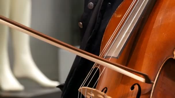 Straßenmusiker, der Cello aus nächster Nähe spielt. Cellist in Handschuhen spannt sanft Saiten — Stockvideo