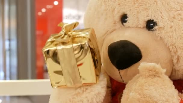 Nice teddy bears at toy shop, tender gift for child, romantic present on  date — Stock Video © motortion #118682918