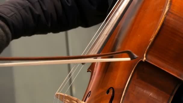 Pouliční muzikant, hraje na violoncello blízko pohled. Violoncellista v rukavicích opatrně luky řetězců — Stock video