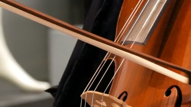 Straat muzikant spelen van de cello sluiten van weergave. Cellist in handschoenen buigt zachtjes tekenreeksen — Stockvideo