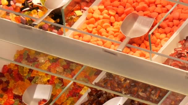 Doces de geleia coloridos sortidos no balcão em uma loja de alimentos, nomes de doces alemães, pesagem de doces estão perto das pás — Vídeo de Stock