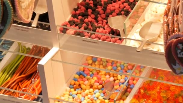 Diverse kleurrijke jelly snoepjes op teller op een food markt winkel, Duitse snoep namen, snoep wegen zijn in de buurt van de schoppen — Stockvideo