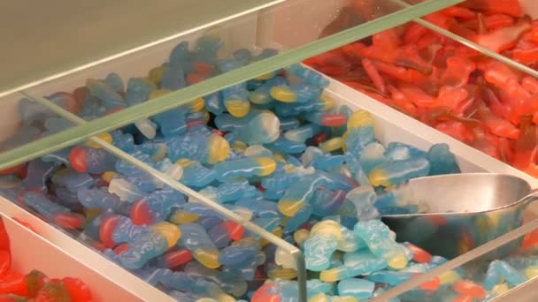 Assortiment de bonbons colorés gelée sur le comptoir dans un magasin de marché alimentaire, noms de bonbons allemands, pesée de bonbons sont près des pelles — Video