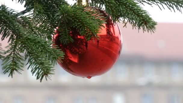 Vacker röd julgran leksak hänger på trädet på gatan, i reflektionen som fotgängare och väg med bilar är synliga — Stockvideo