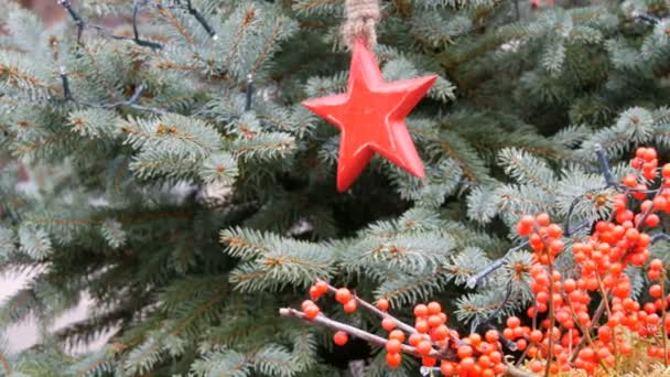 Bellissimo giocattolo dell'albero di Natale su rami di abete rosso sotto forma di stella accanto a rami rossi di bacche come decorazione di Natale — Video Stock