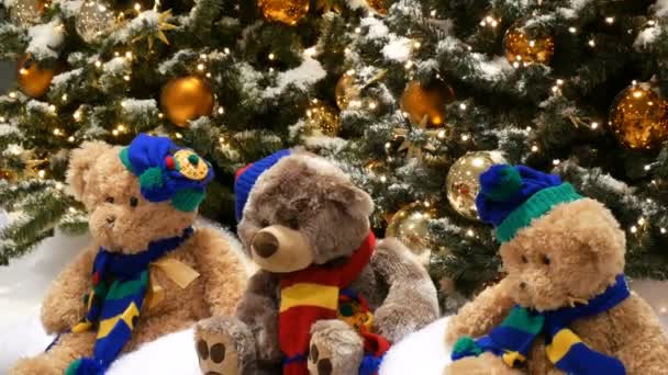Três ursos de brinquedo sentam-se sob árvores de Natal, lindamente decorados com bolas de ouro e guirlandas, no shopping ou centro comercial. . — Vídeo de Stock