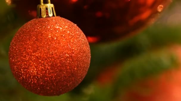 Mooie stijlvolle kerstboom speelgoed ballen van rode kleur loopt vast op de kerstboom close-up. Nieuwjaar en Kerstmis decor. — Stockvideo