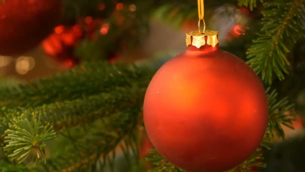 Hermosa bola de juguete elegante árbol de Navidad de color rojo cuelga en el árbol de Navidad vista de cerca. Año Nuevo y decoración de Navidad . — Vídeo de stock