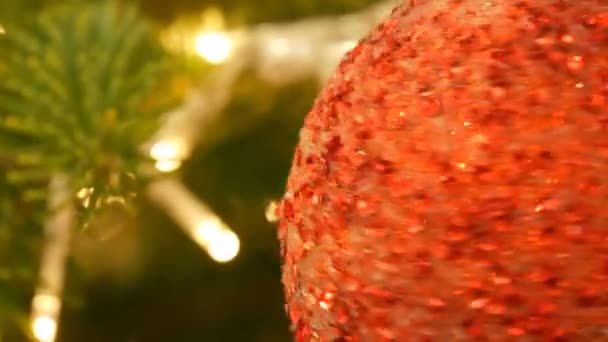 Vacker elegant julgran leksak boll av röd färg hänger på granen nära upp vy. Nyår och jul inredning. — Stockvideo