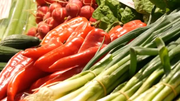 Varias verduras en el mostrador del mercado de comestibles. Comida saludable, fibra, dieta, inscripción en húngaro . — Vídeos de Stock