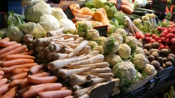 Varias verduras en el mostrador del mercado de comestibles. Comida saludable, fibra, dieta, inscripción en húngaro . — Vídeo de stock