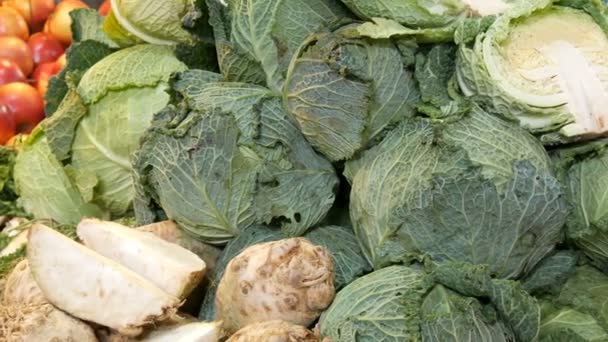 Olika sorters kål, vit, Bryssel, broccoli, färg på räknaren marknaden. Hälsosam mat, hälsosam fiber, vegetabilisk diet — Stockvideo