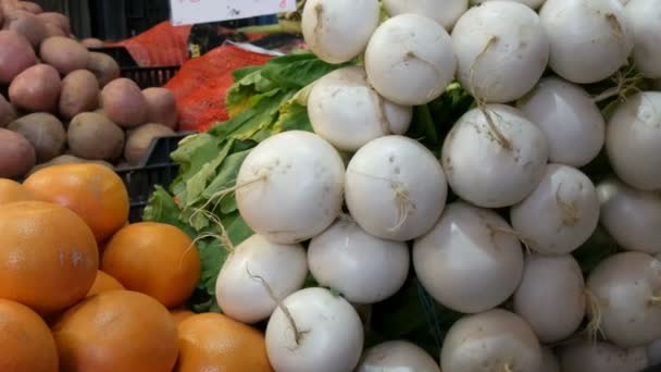 Varias verduras en el mostrador del mercado de comestibles. Comida saludable, fibra, dieta, inscripción en húngaro . — Vídeo de stock