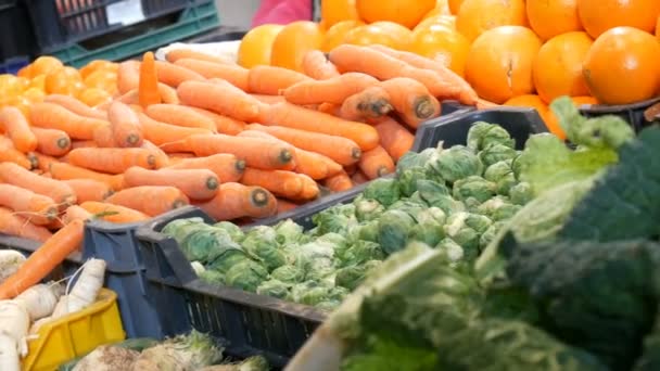Diverse groenten op de teller van de kruidenier-markt. Gezonde voeding, glasvezel, voeding, inscriptie in het Hongaars. — Stockvideo