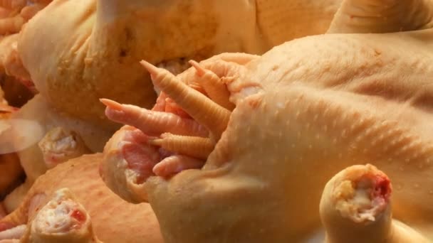 Carcasa de pollo grande en el escaparate o mostrador de la carnicería . — Vídeos de Stock
