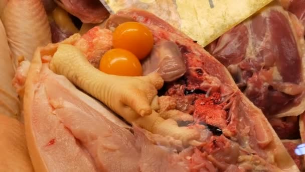Tavuk sakatat, iç organlar, kanatlar, bacaklar, mide, karaciğer, kalp, tavuk karkas diğer bölgelerinde çok sayıda — Stok video