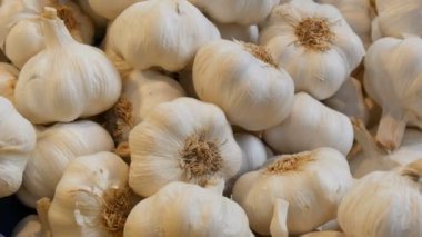 Güzel başkanları büyük Pazar tezgahın üzerine beyaz olgun sarımsak.