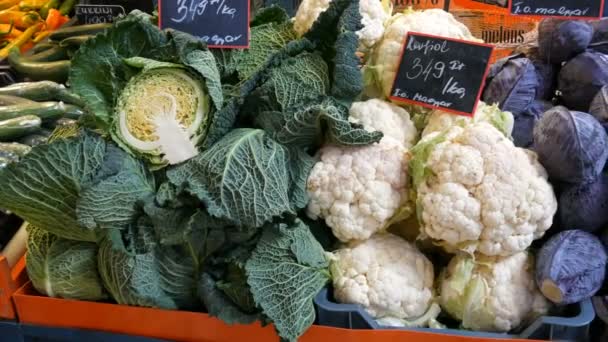 Soorten kool, witte, Brussel, broccoli, kleur op de teller van de markt. Gezonde voeding, gezonde vezels, plantaardig dieet. inscriptie in het Hongaars — Stockvideo