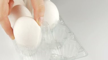 Beyaz arka planda şeffaf bir plastik tepsisinde büyük beyaz tavuk yumurtası. Kadın elleri tepsiye yumurta koydu