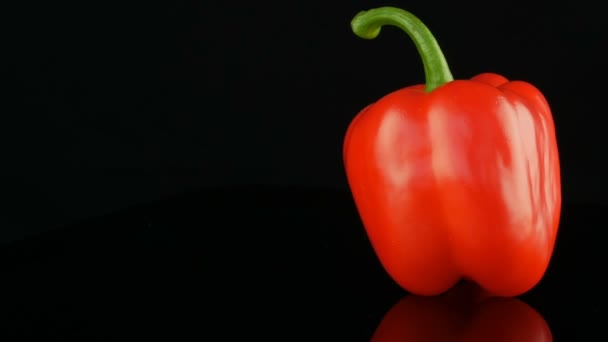 Beau grand paprika de poivron rouge mûr tournant sur une surface miroir et fond noir . — Video