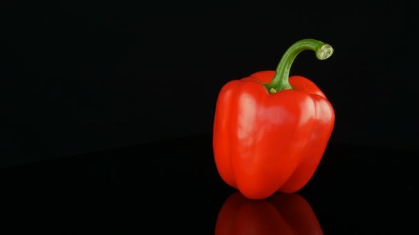 Beau grand paprika de poivron rouge mûr tournant sur une surface miroir et fond noir . — Video